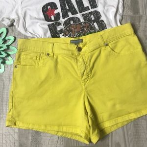 New York & Co Shorts